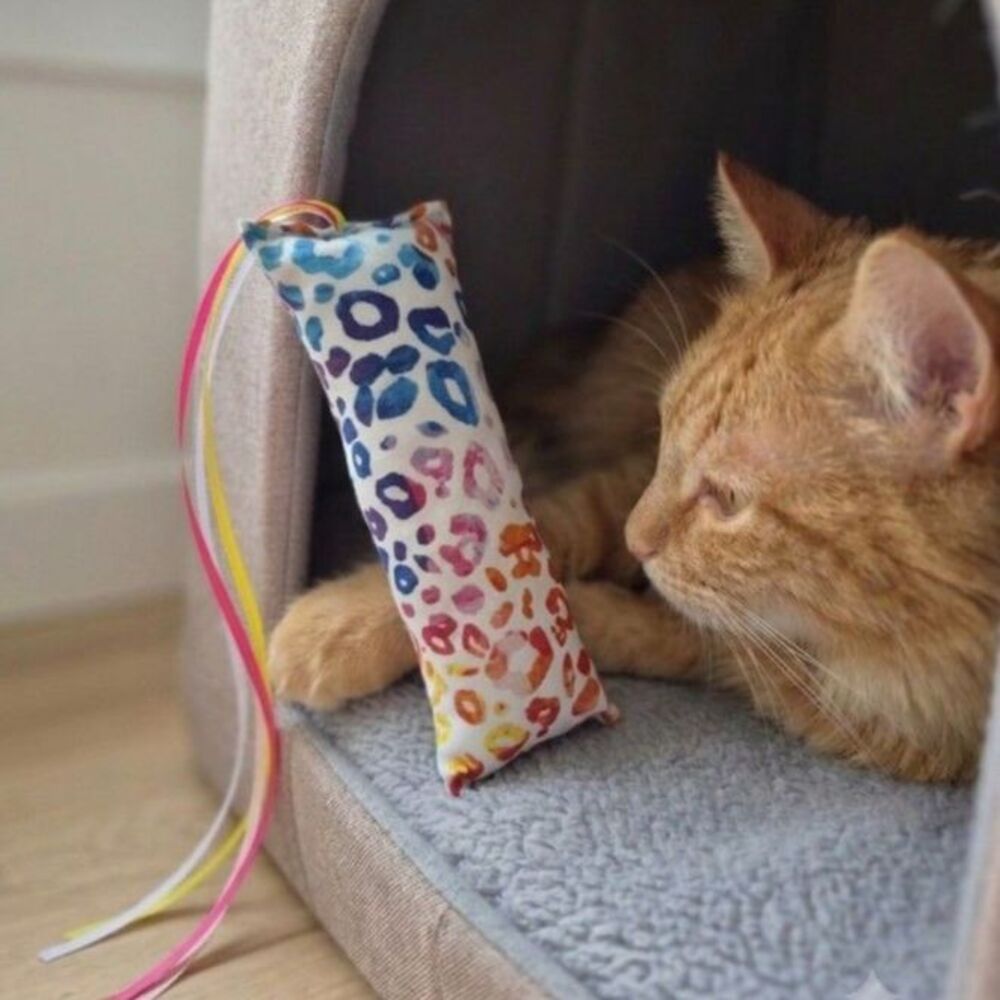 Rainbow Cheetah Print Catnip Kicker: Mentally Stimulating Toys for Indoor Cats